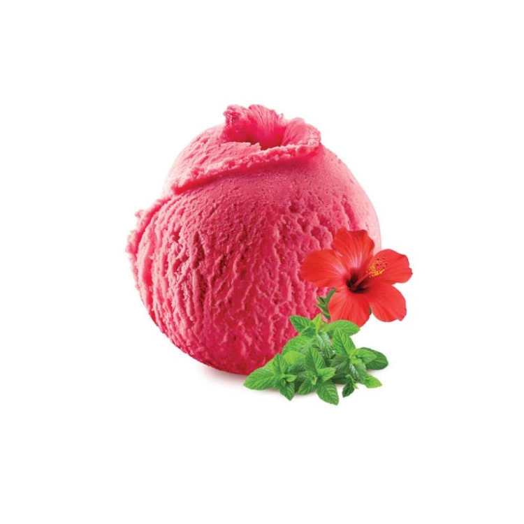 HELADO DE HIBISCUS MENTA 2,5L