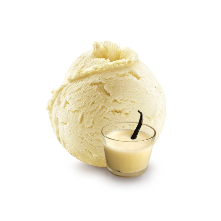 HELADO DE VAINILLA AL ESTILO CREMA INGLESA 5L