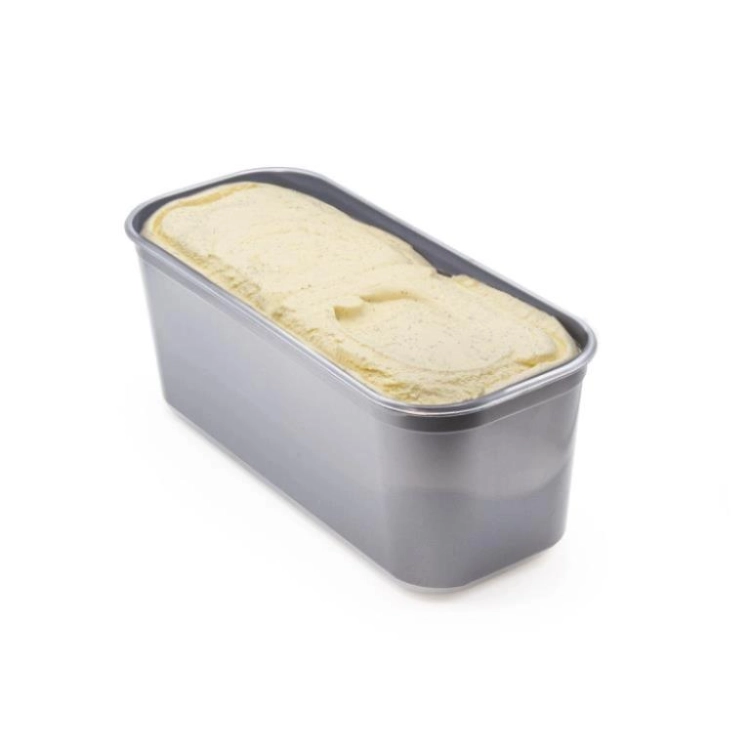 HELADO DE VAINILLA 5L