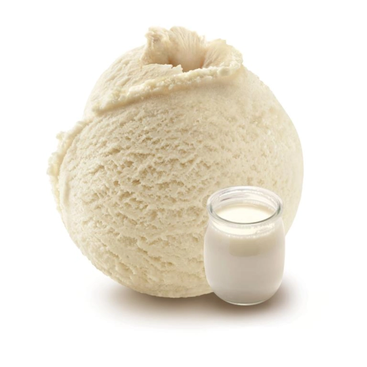 HELADO DE YOGUR BÚLGARO NATURAL 2,5L