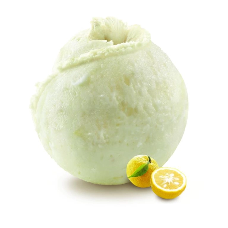 SORBETE DE YUZU 2,5L