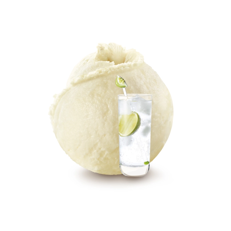 SORBETE DE GIN TONIC 2,5L