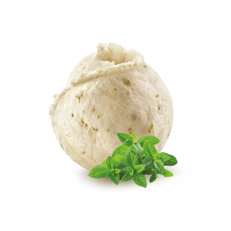 SORBETE DE MENTA CON HOJAS 2,5L