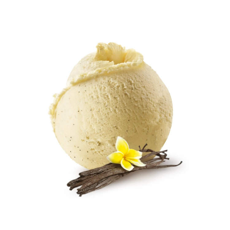 HELADO DE VAINILLA BAJO CONTENIDO EN AZÚCAR