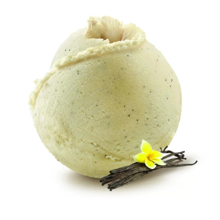 HELADO DE VAINILLA BOURBON INFUSIONADA 2,5L