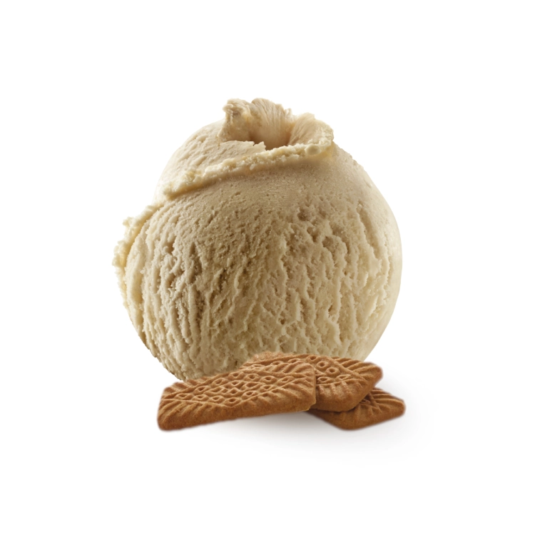 HELADO DE SPÉCULOOS 2,5L