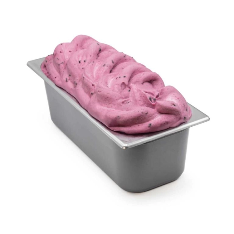 HELADO DE YOGUR BÚLGARO CON ARÁNDANOS 6L