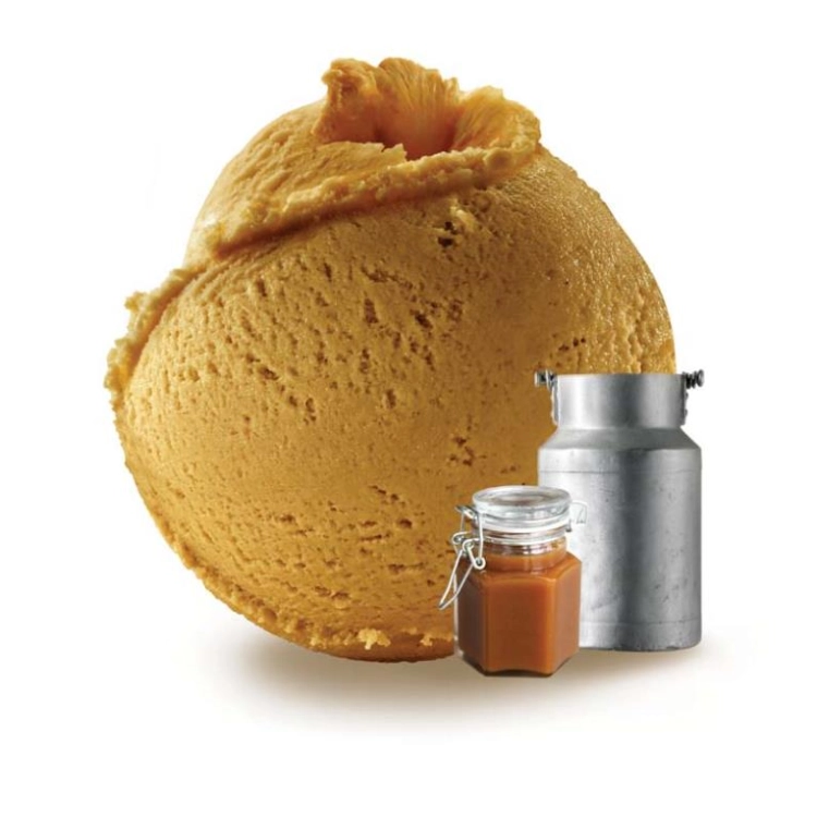 HELADO DE DULCE DE LECHE 6L