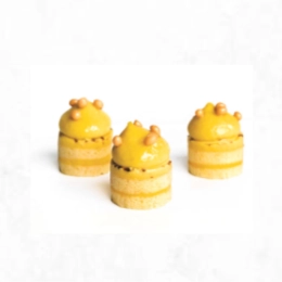 MINI MANGO