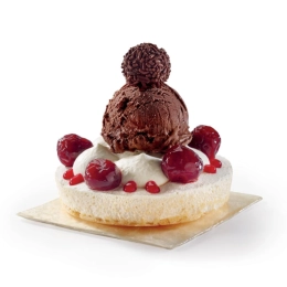 PAVLOVA