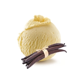 HELADO DE VAINILLA VEGANA 2,5L