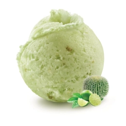 SORBETE DE CACTUS CÍTRICOS 2,5L