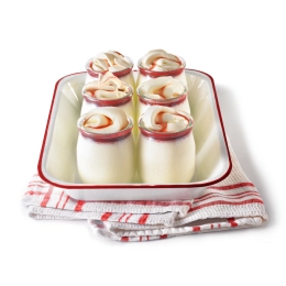 HELADO DE YOGUR BÚLGARO CON GROSELLA 2,5L