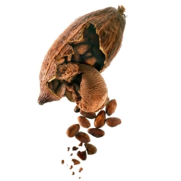 HELADO DE CHOCOLATE NEGRO GUANAJA 2,5L