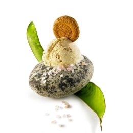 HELADO DE GALLETA SABLÉ 2,5L