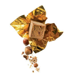HELADO DE GIANDUJA 2,5L