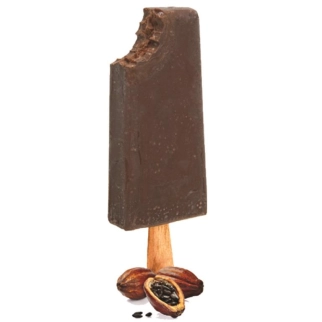 PALETINA DE CHOCOLATE