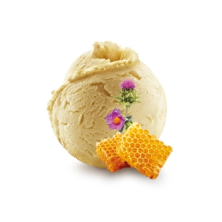 HELADO DE MIEL 2,5L