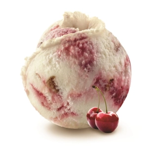 HELADO DE AMARENA 2,5L